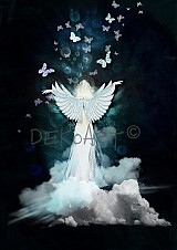 Grafika - Butterfly angel - 1086942