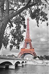 Fotografie - Eiffel tower selective color view - 1255034