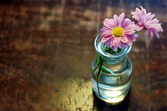 Fotografie - Ružová chryzantéma vo váze na drevenom stole - 148462