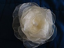  - Pinetka Crème Rose - 1655503