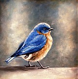 Obrazy - O modrom vtáčikovi - 2200390