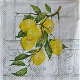 Papier - Lemon Tree - Citrónovník - 2349261