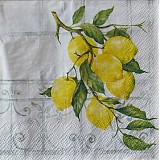 Papier - Lemon Tree - Citrónovník - 2349263
