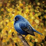 Obrazy - O modrom vtáčikovi II - 2765032