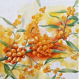 Papier - Sanddorn - Rakytník - 2808921