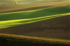 Fotografie - Fotografia - Jarné krivky II - 3295875