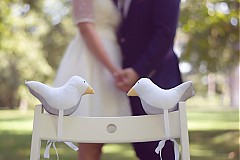 Dekorácie - holúbkovia...nielen svadobní... - 3313238