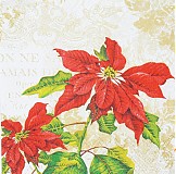Papier - Poinsettia Collage cream - Vianočná ruža - 3369807