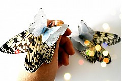 Náušnice - zimné motýlie - 3382039