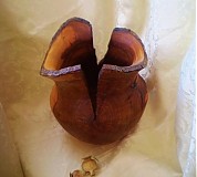 Dekorácie - Prírodná váza s kôrou " Obor jabloňový" - 3461622