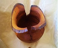 Dekorácie - Prírodná váza s kôrou " Obor jabloňový" - 3461626
