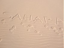 Fotografie - Sahara - 3599523