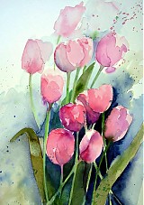 Obrazy - Ružové tulipány - 3696161