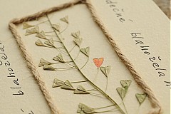 Papiernictvo - srdečné blahoželanie 01 - 3716536