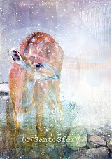 Grafika - Pre ich farbu - 379653