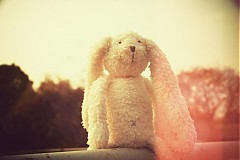  - zajko Rafael - 889098