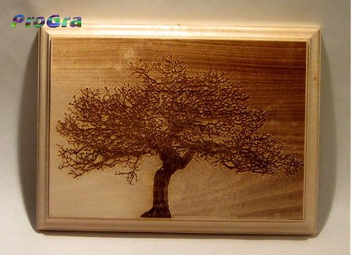 Rámiky - Vaša drevená fotka - rozmer A5 - 2058425