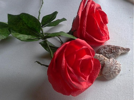 Cervena Ruza Sta Ziva Polorozvinuta Johanessa Sashe Sk