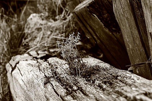 Fotografie - Ostatok času - 2348187