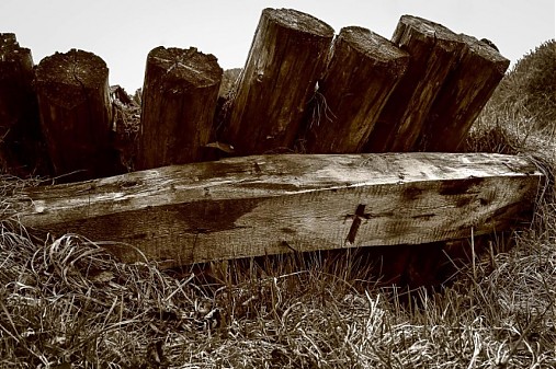 Fotografie - Perzistencia času - 2348255