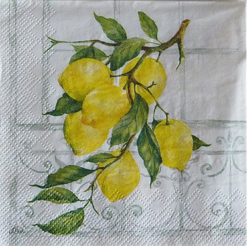 Lemon Tree - Citrónovník