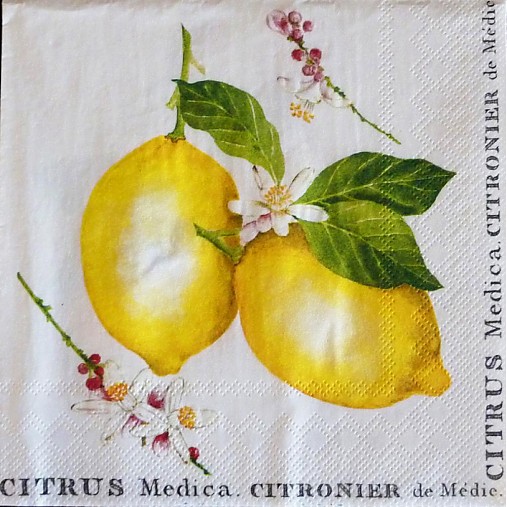  - Citrus Medica - Citróny - 2449378