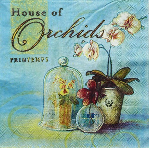  - House of Orchids - Orchidea - 2490644