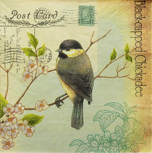 Papier - Postcard Bird - 2491119