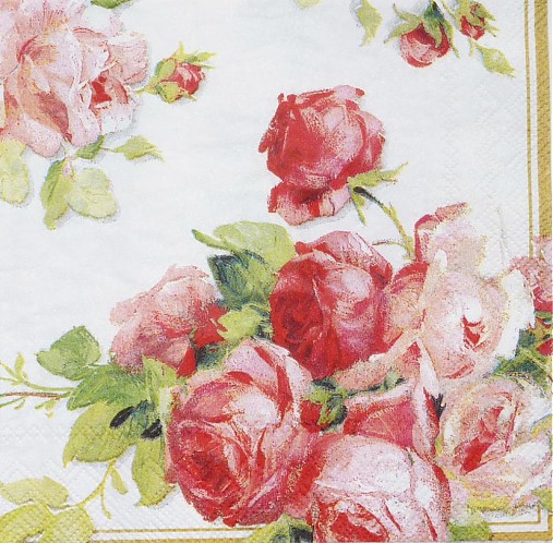  - Victoria Roses small - Ruže - 2851815