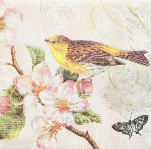  - Birds & Blossom - Vtáky a kvety - 2859279