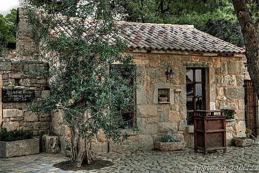 Fotografie - Dalmatian village - 3029273