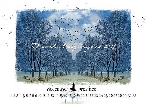 Grafika - KALENDÁR A3 na šírku/13 listov - 3155530