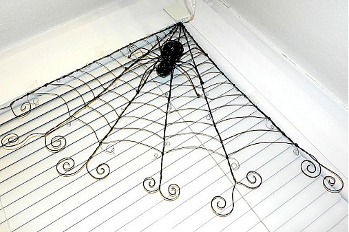  - Pavučina s pavúkom :)  - 3590236