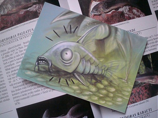Papiernictvo - Akváriové bytosti - A6 print / milé pohladnice (rôzne druhy)  (WTF Cory) - 3670168