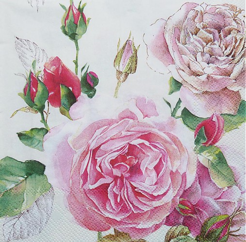  - Tea Rose white - Čajová ruža - 3732403