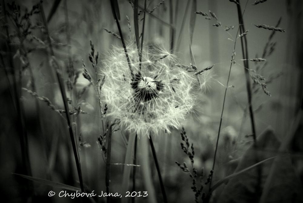 Súmrak / NoiArt - SAShE.sk