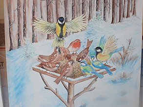 Obrazy - Vtáky v zime - 1053506