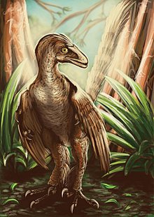 Grafika - Paleoart - print A3 (rôzne na výber) (Sinornithosaurus) - 1491273