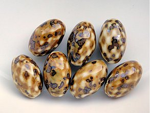Korálky - Porcelánová oliva 15x25mm-1ks (béž.tmavá) - 1528633