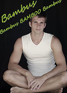 Pánske oblečenie - Bambusové tričko bez rukávov EKO - 1569735