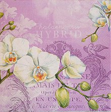 Papier - White Orchids lila - 2385176