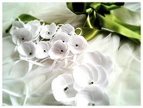 Svadobné pierka - Svadobčania v bielom. - 2388860