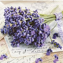 Papier - Lavender Greetings - 2455242