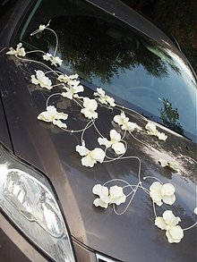 Dekorácie - Výzdoba na auto z orchideí - 2729066