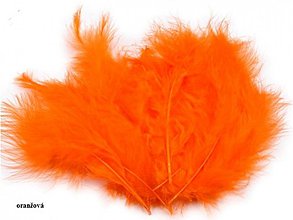 Suroviny - Pštrosie perie 20 ks (oranžové) - 3674566