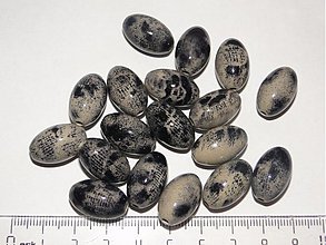 Korálky - Oliva s potlačou (čierna-10ks) - 713613